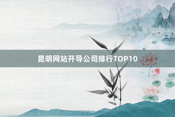 昆明网站开导公司排行TOP10