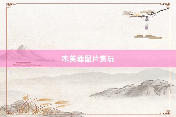 木芙蓉图片赏玩
