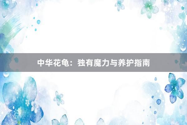 中华花龟：独有魔力与养护指南